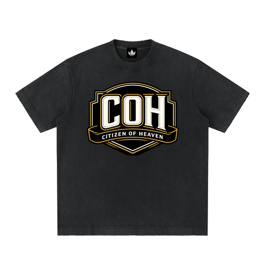 Citizen of Heaven Vintage Washed Frayed T-Shirt