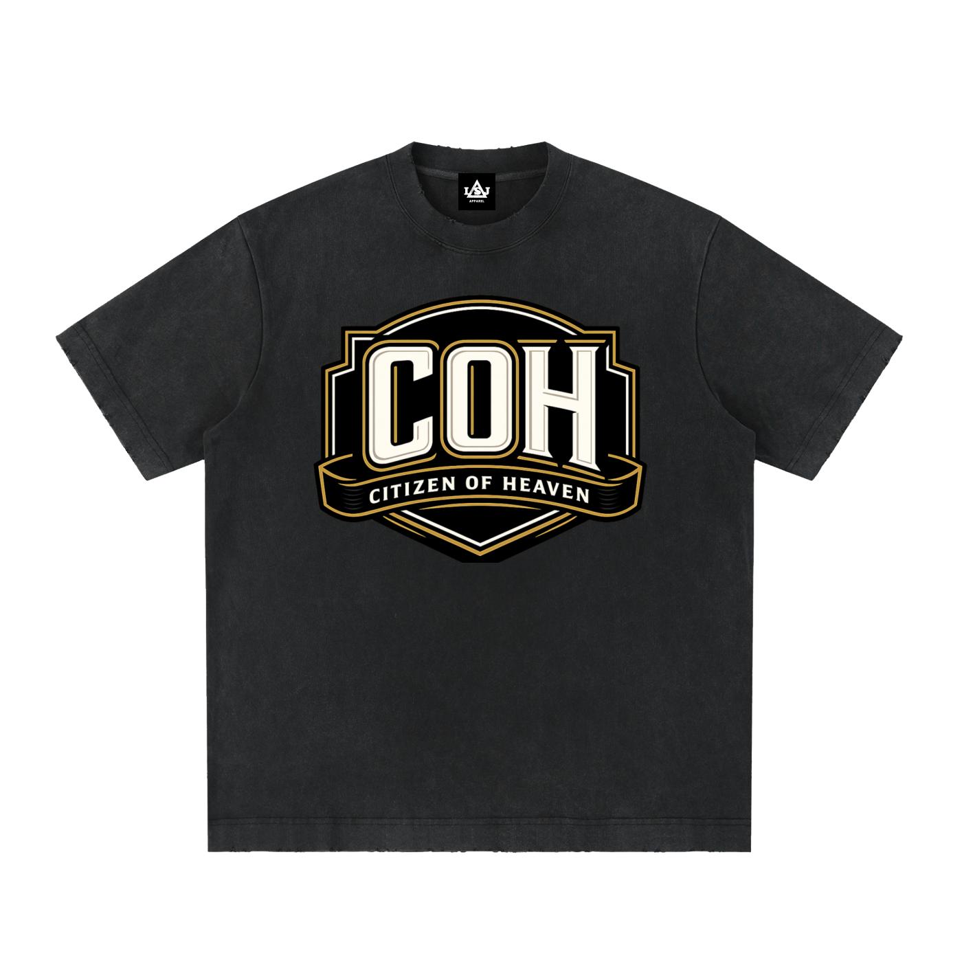 Citizen of Heaven Vintage Washed Frayed T-Shirt