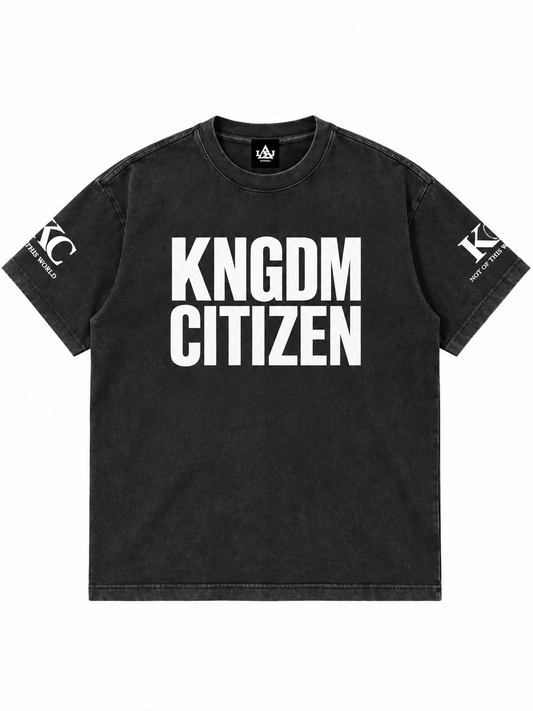 KNGDM Citizen Vintage Washed T-Shirt