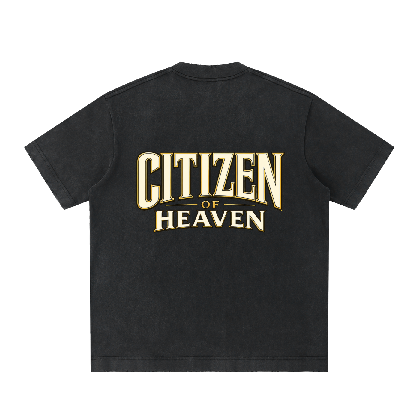 Citizen of Heaven Vintage Washed Frayed T-Shirt